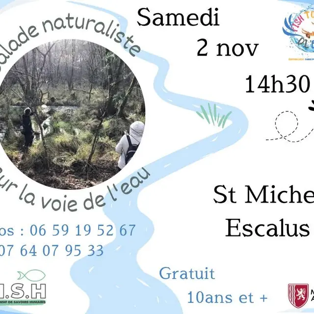 SME-Baladenatureliste