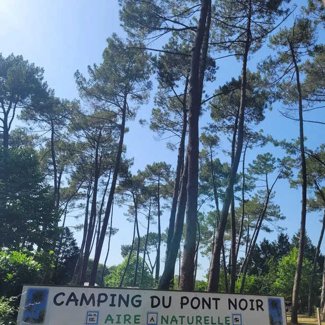 STJU_Camping Le Pont Noir