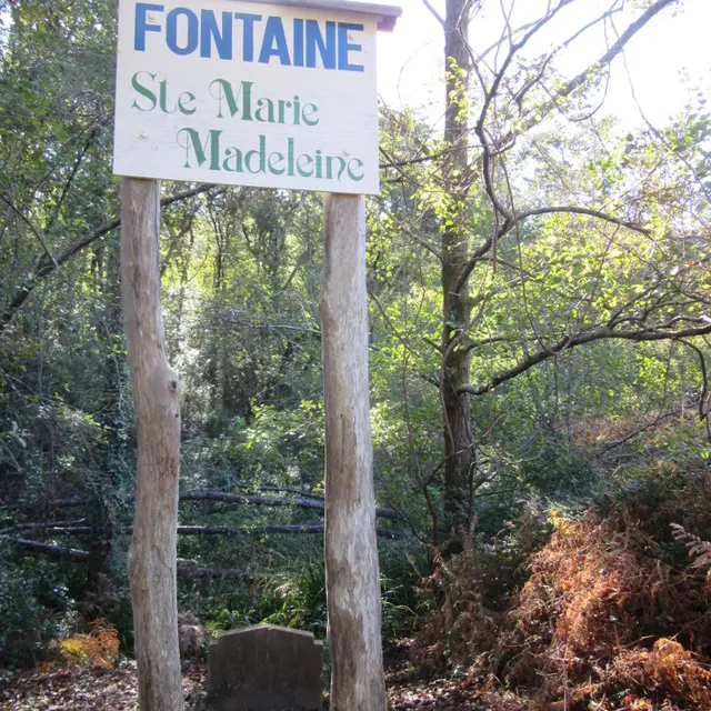 STJU_Fontaine_1