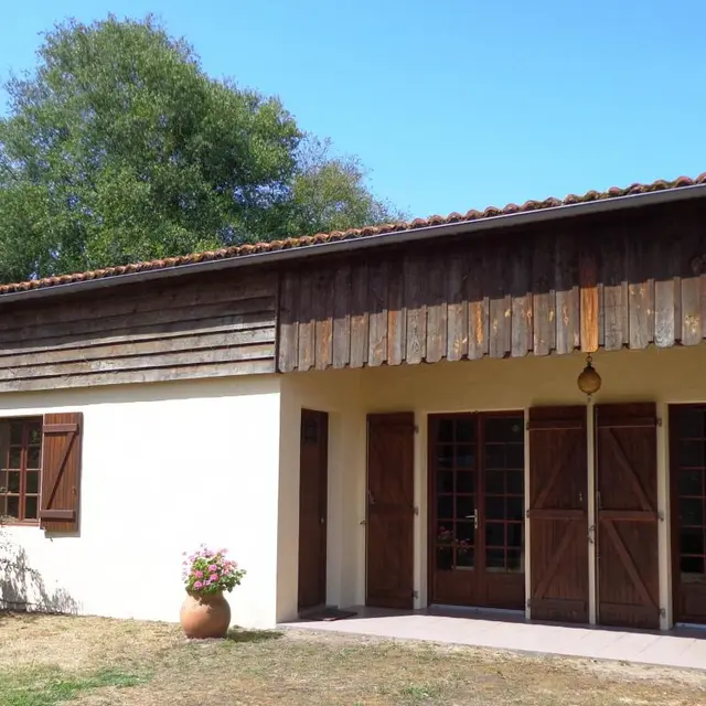 STJU-les-glycines-ext1