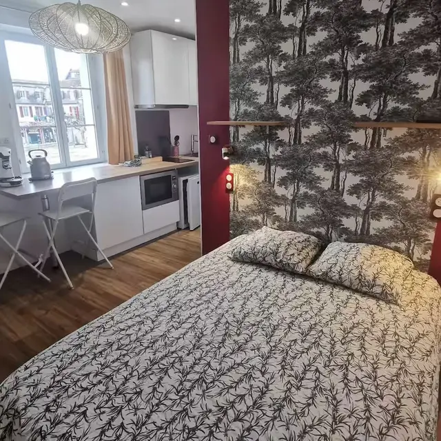 Les appartements du centre - Le Sureau