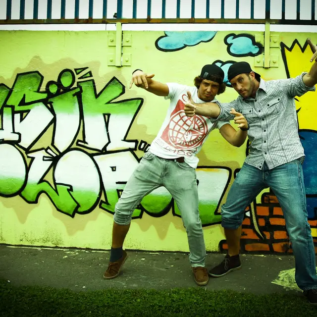 Skate park d'Oloron Sainte-Marie (Lycée Molière)