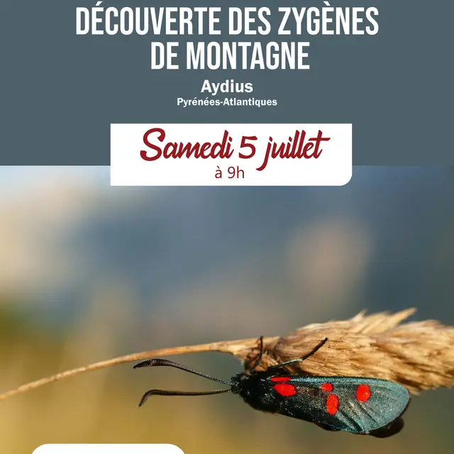 Sortie 5 juillet