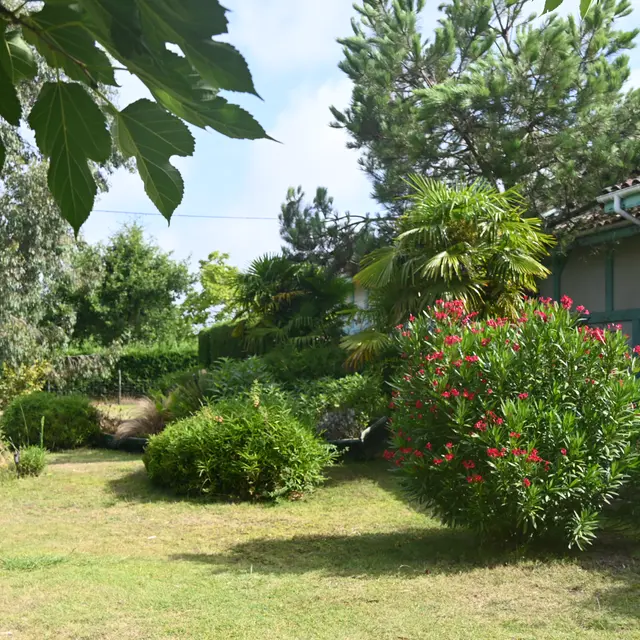 VSG_Le mas des Landes_ (1)