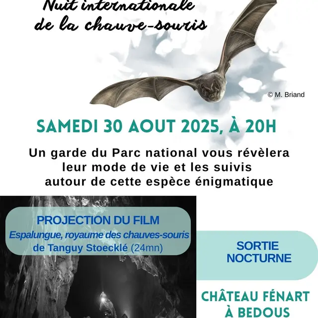 affiche_nuit_chauve-souris_30 août_2025