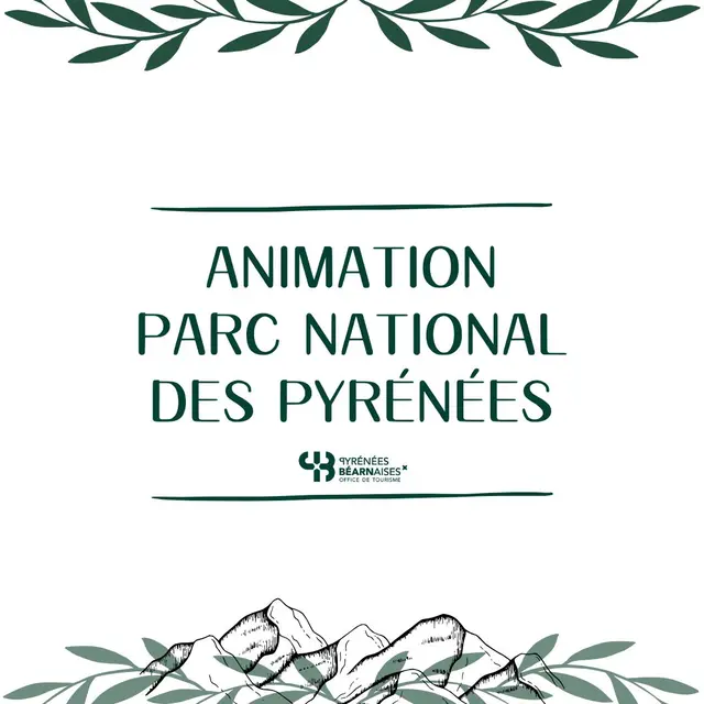 Animation PNP