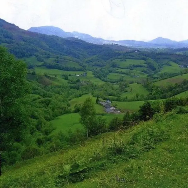 Gîte Sauvestre