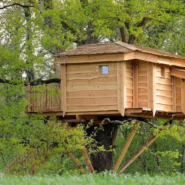 Cabane du vieux chêne