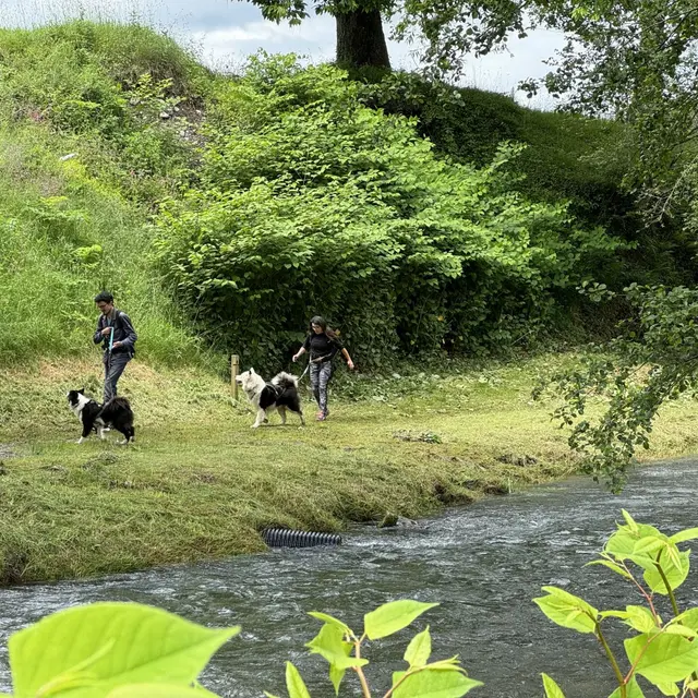N°18 - Le chemin de la transhumance