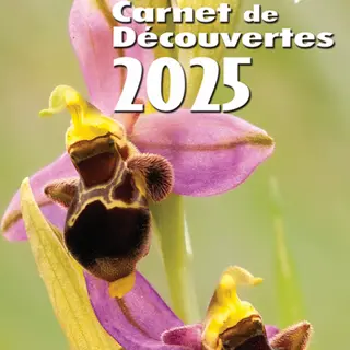 carnet de découvertes 2025