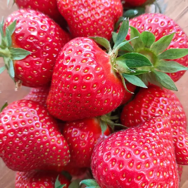 Fraises locales du Béarn