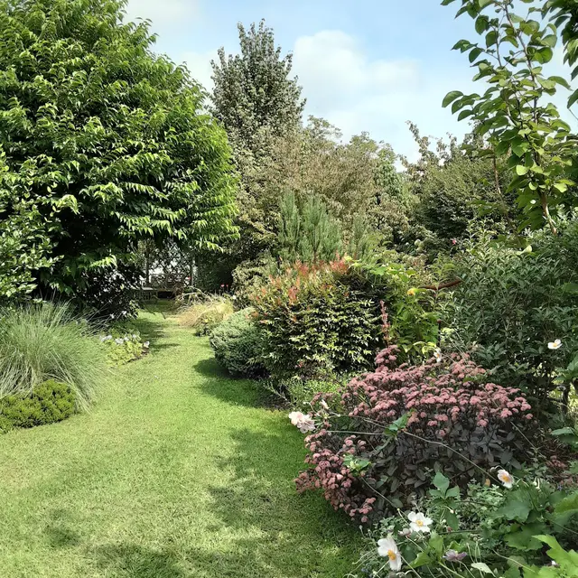 LINXE_Jardin  Marguerite (6)