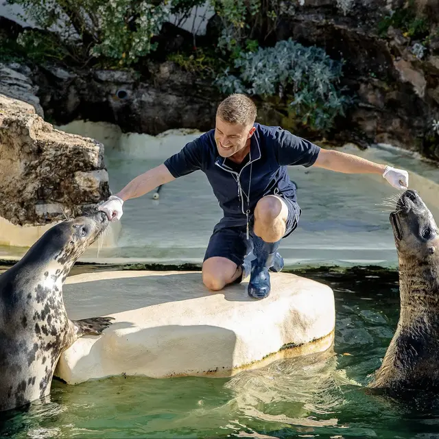 repas-des-phoques-aquarium-biarritz-crédit-delphine-pernaud