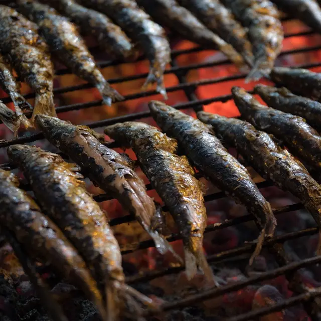 sardines-3492588_1280