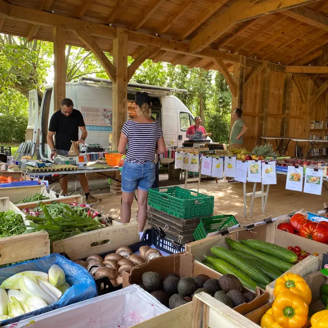 ©CLNT-SAINT MICHEL ESCALUS-Marché (4)TS