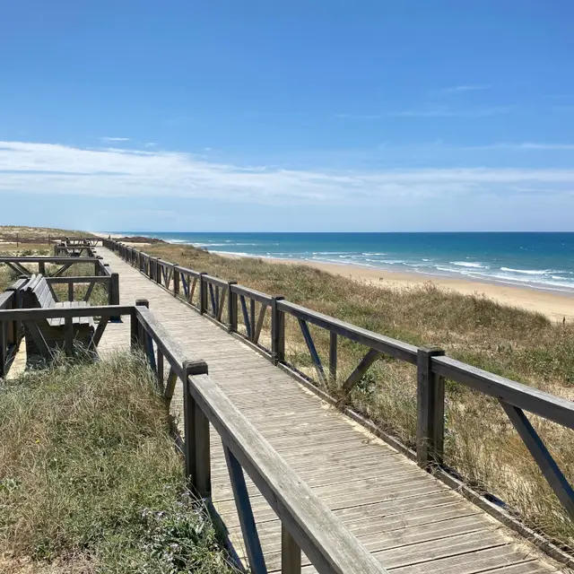 1-CLNT - LIT ET MIXE - Plage du Cap de l'Homy (22)TS