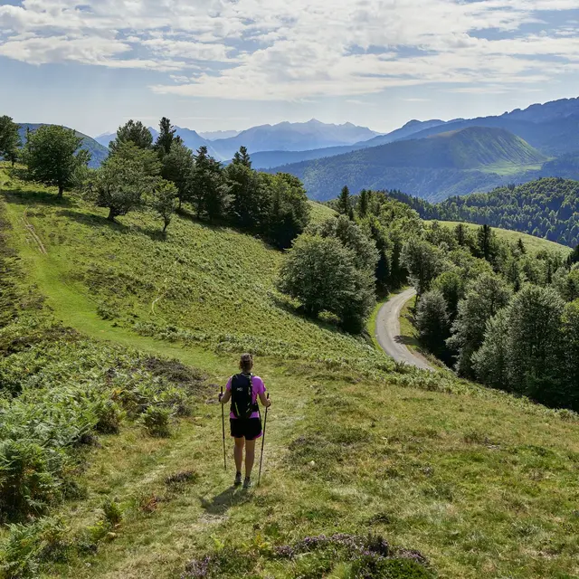 Entre crêtes et forêts, itinéraire pédestre facile à Issarbe