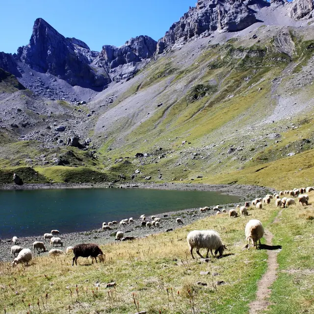 Lac en vallée d'Aspe