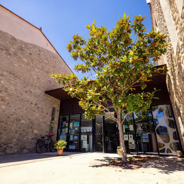 Mediatheque-ArgelesTourisme-Lionel_Faliu-8266