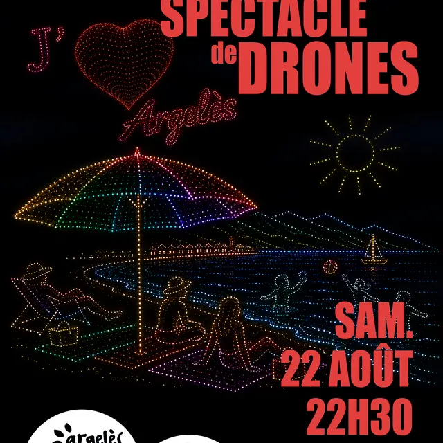 AFFICHE3 drones