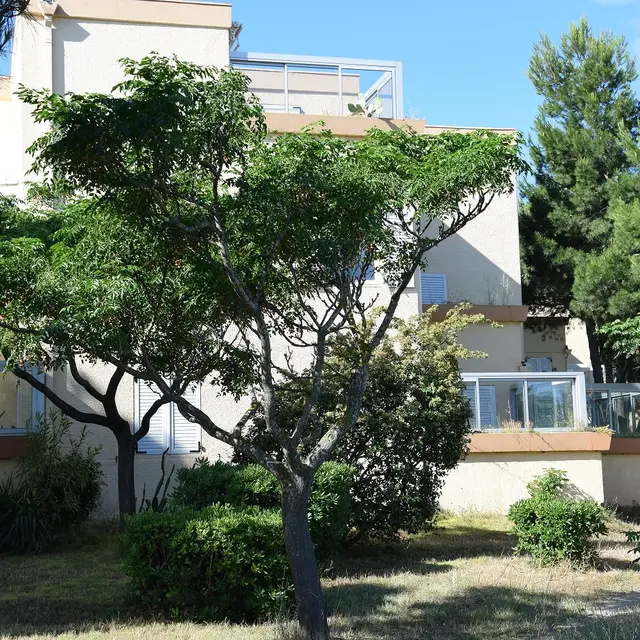 La résidence