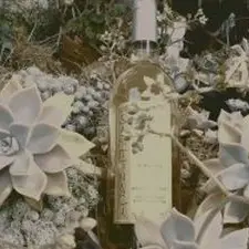 Domaine La Cave à Argeles sur Mer