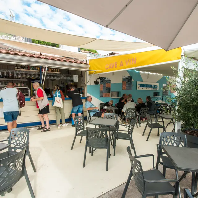 FRANCE - ARGELES SUR MER - RESTAURANT- LES HIRONDELLES DU COSTA (3)