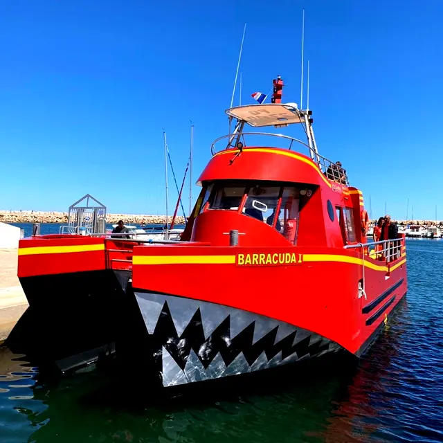 Le Barracuda