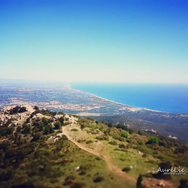Panorama depuis la tour de la Massane_1