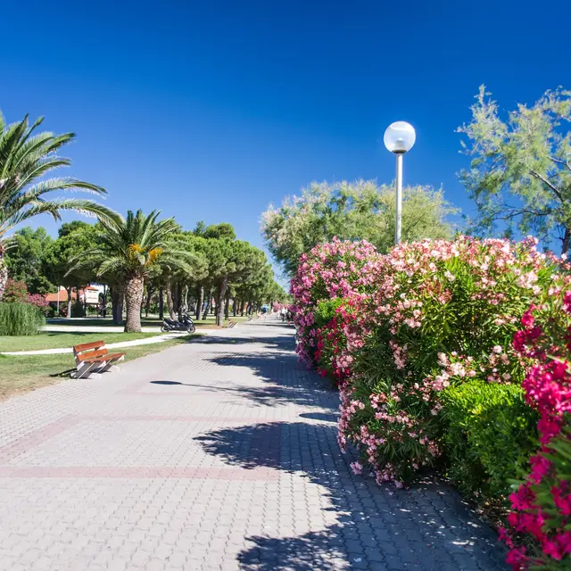 promenade-front-de-mer-l.lacombe