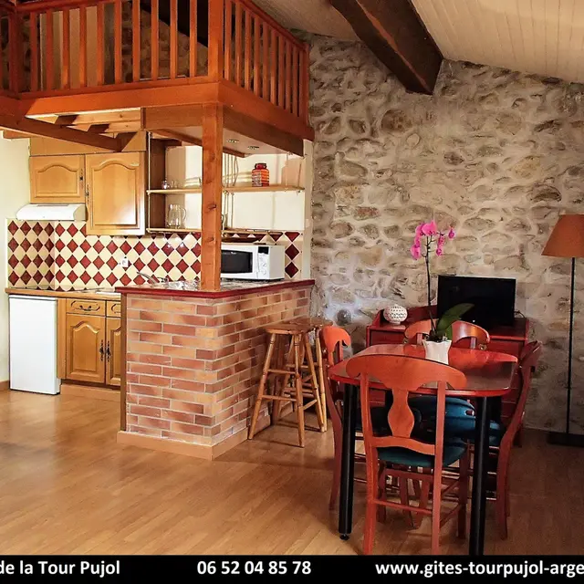 Gites de la Tour Pujol - El canigo_2