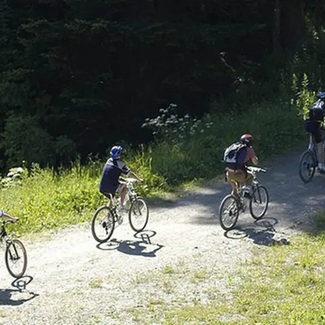 Cyclo et VTT en Pays de Questembert