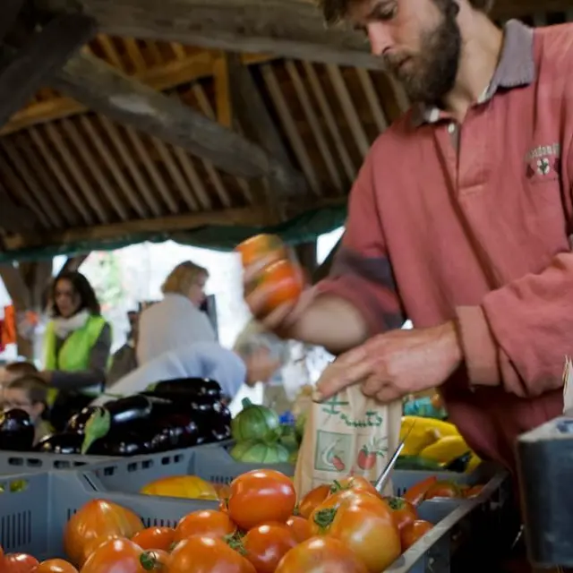 Marché des producteurs - Questembert (photo Maxence Gross)