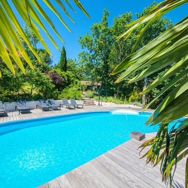 Avec le soleil, le chant des cigales est garanti !