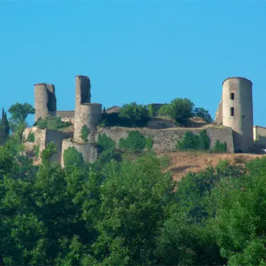 Château de Pontevès