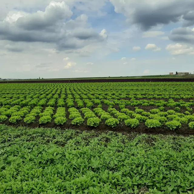 les multiples facettes de la plaine de Montesson