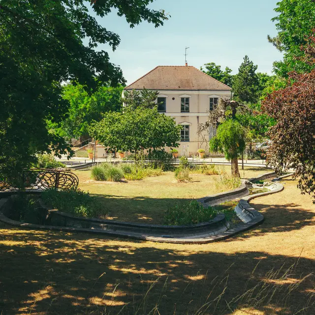 sortie ornithologique dans le parc de la boucle de la Seine à Montesson