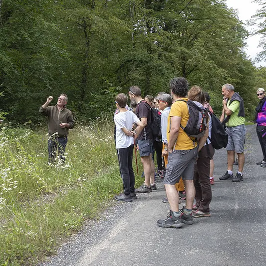 53089187480_c5af3be5c5_c