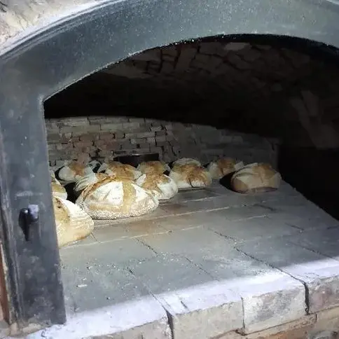 ©Nathalie Lecocq - Fabrication et cuisson de pain au levain dans le four à pain
