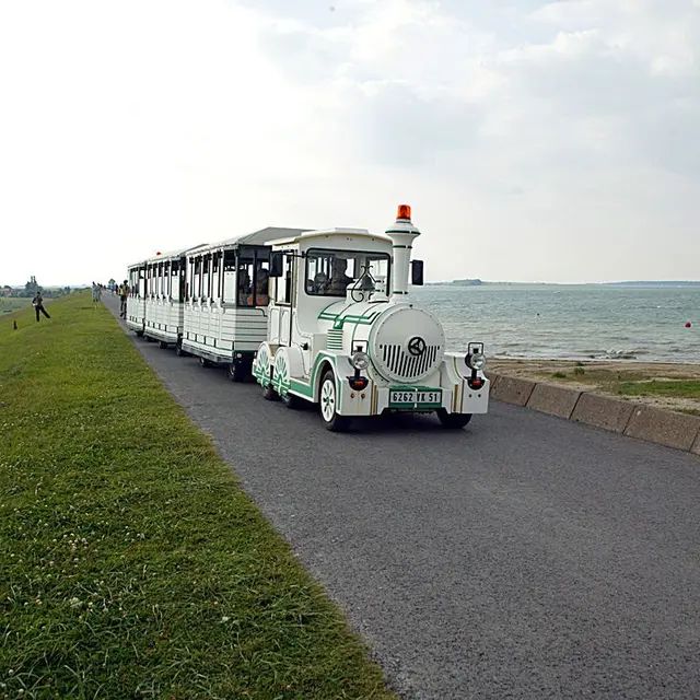 Train aux Oiseaux