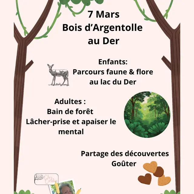 Animation nature famille - Bois d'Argentolle