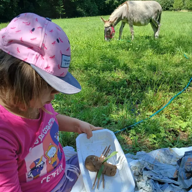 ANE COEUR STAGE EN FAMILLE