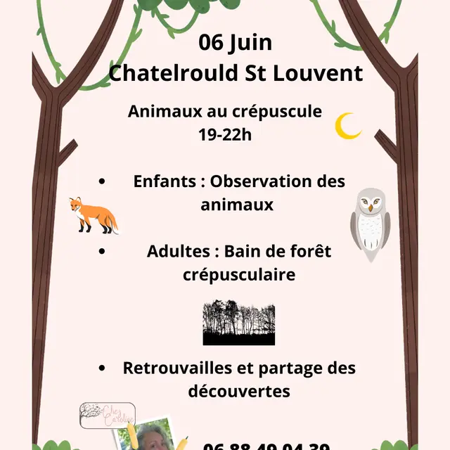 Animation nature famille - Animaux au crépuscule