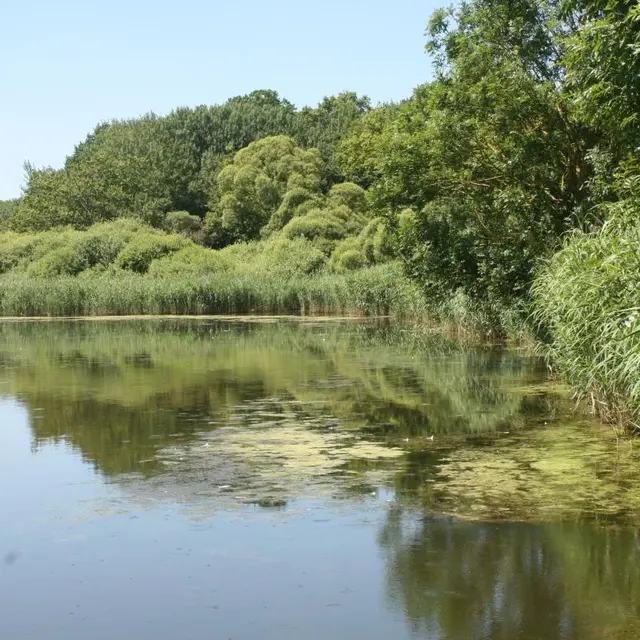 tous_les_habitats_c_cenca