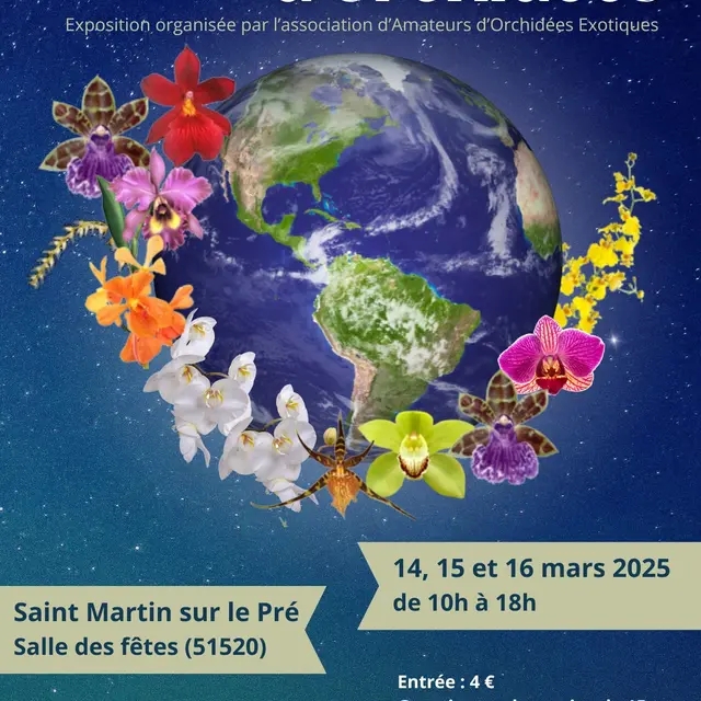 un-monde-d-orchidees-st-martin