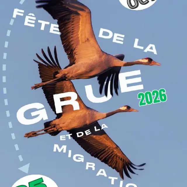 19ème Fête de la Grue et de la Migration