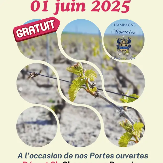 champagne-bourcier-marche-10-km