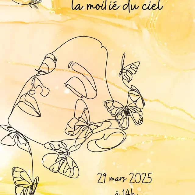 Conférence Médiathèque Vlf