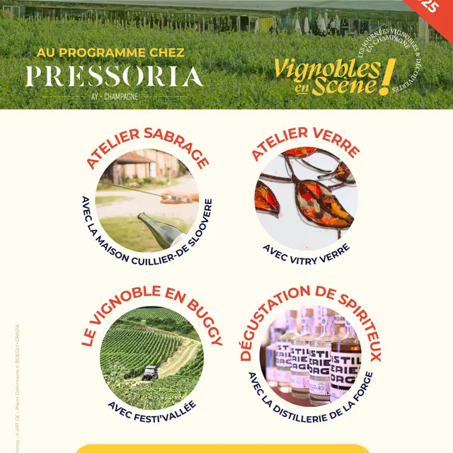 Affiche Pressoria sans Auxine