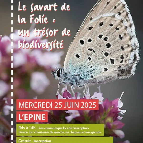 AfficheA4_LEpine_25062025